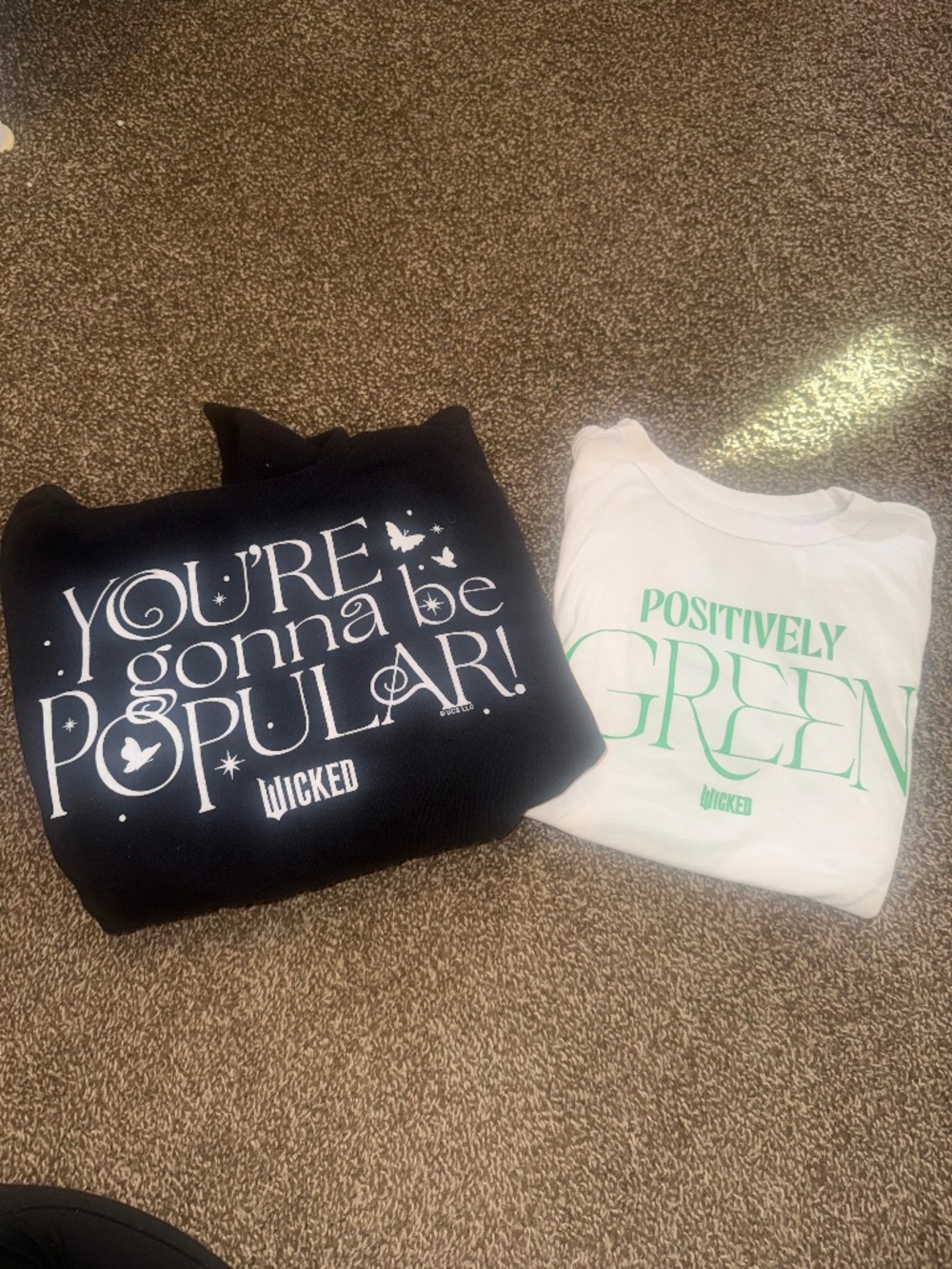 Wicked “You’re Gonna Be Popular “Cropped Hoodie + Positively Green Tee Bundle Wo